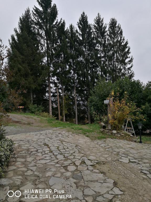 Agriturismo Davide 보솔라스코 외부 사진